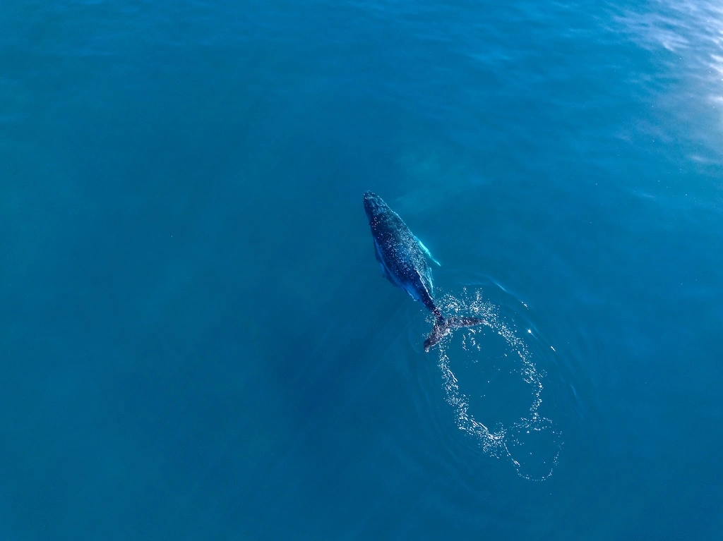 Delve into Middle-earth by private jet with these new adventures from Captains Choice. 