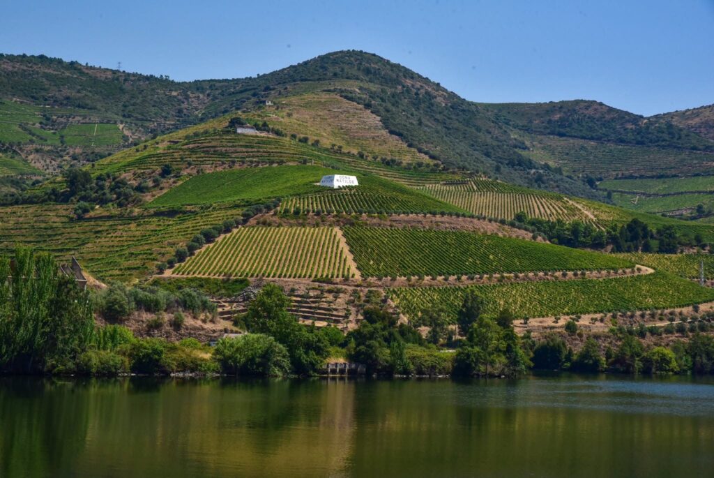 A luxury Douro River cruise aboard Scenic Azure reveals Portugal's port wine heartland, from Porto's riverside lodges to Lamego, Pinhão and golden Salamanca.