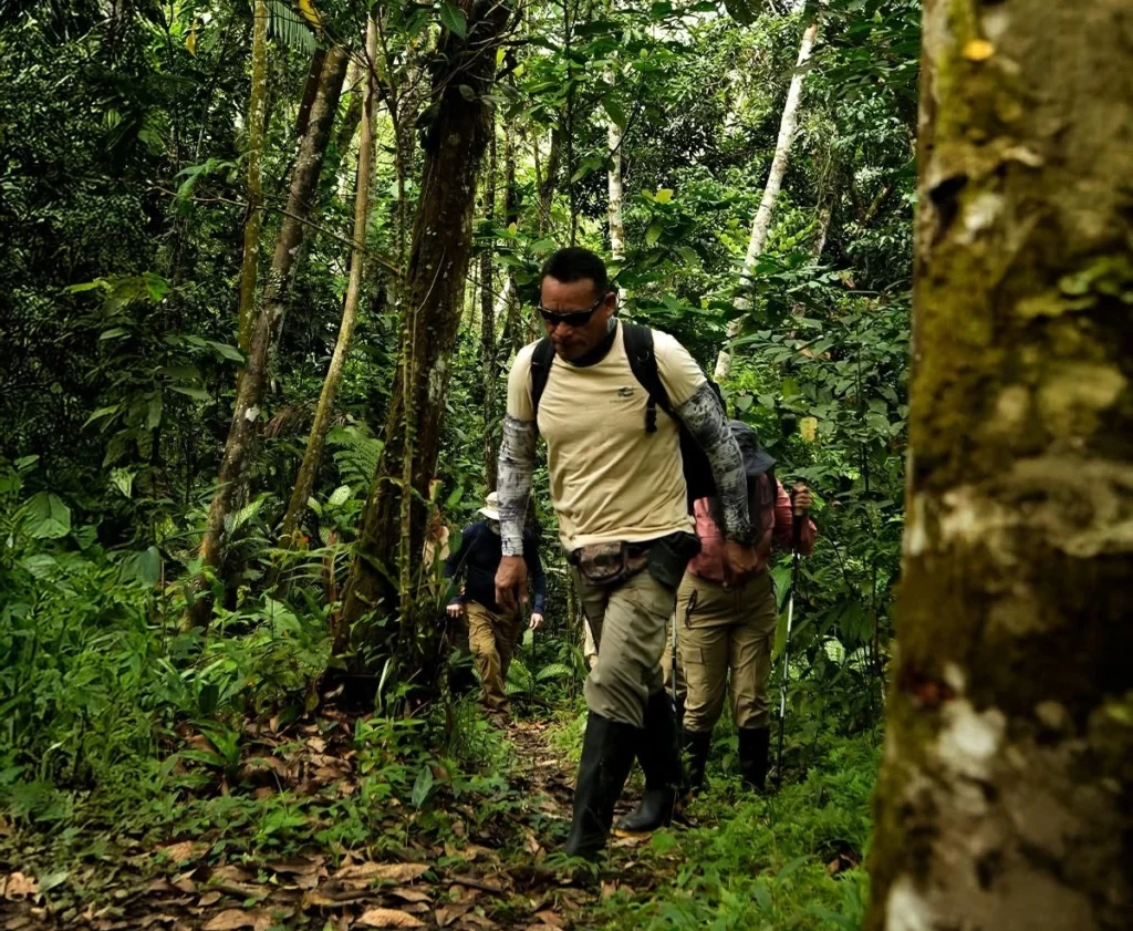 An Amazon River luxury cruise blends raw rainforest adventure with boutique-hotel comfort. Here’s how to choose your route, ship and season wisely.