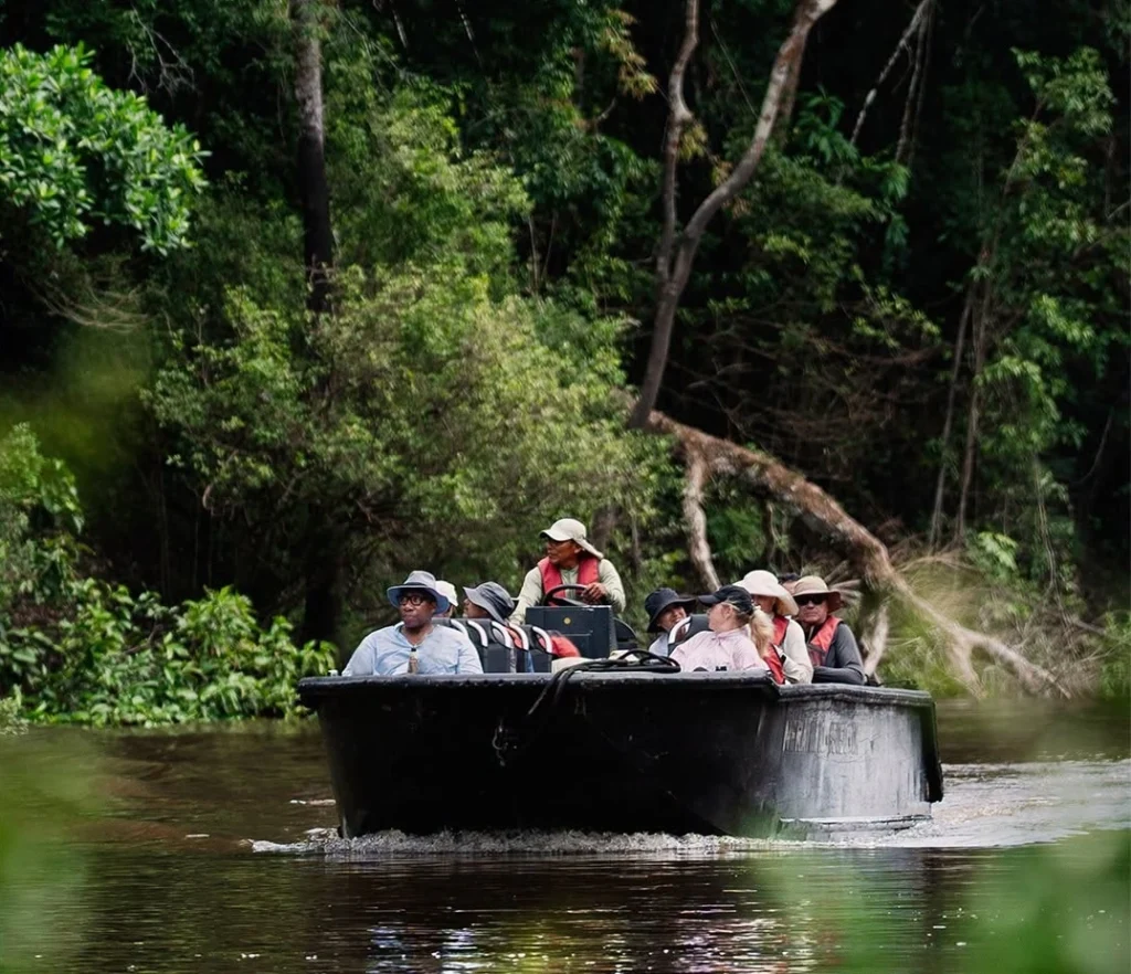 An Amazon River luxury cruise blends raw rainforest adventure with boutique-hotel comfort. Here’s how to choose your route, ship and season wisely.