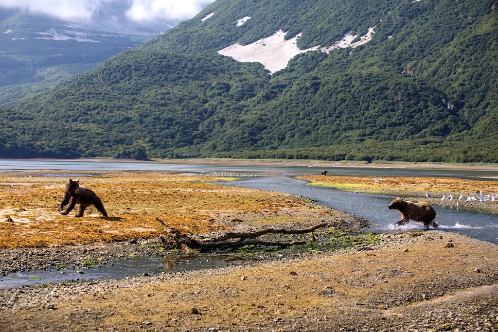 HX Expeditions' 2028/29 season, introducing 57 voyages across 14 destinations worldwide, including 26 new itineraries. 