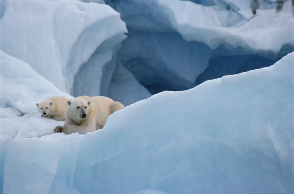 HX Expeditions' 2028/29 season, introducing 57 voyages across 14 destinations worldwide, including 26 new itineraries. 