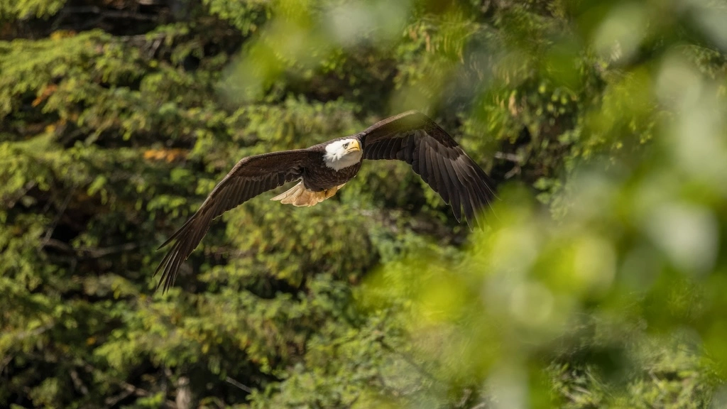 HX Expeditions' 2028/29 season, introducing 57 voyages across 14 destinations worldwide, including 26 new itineraries. 