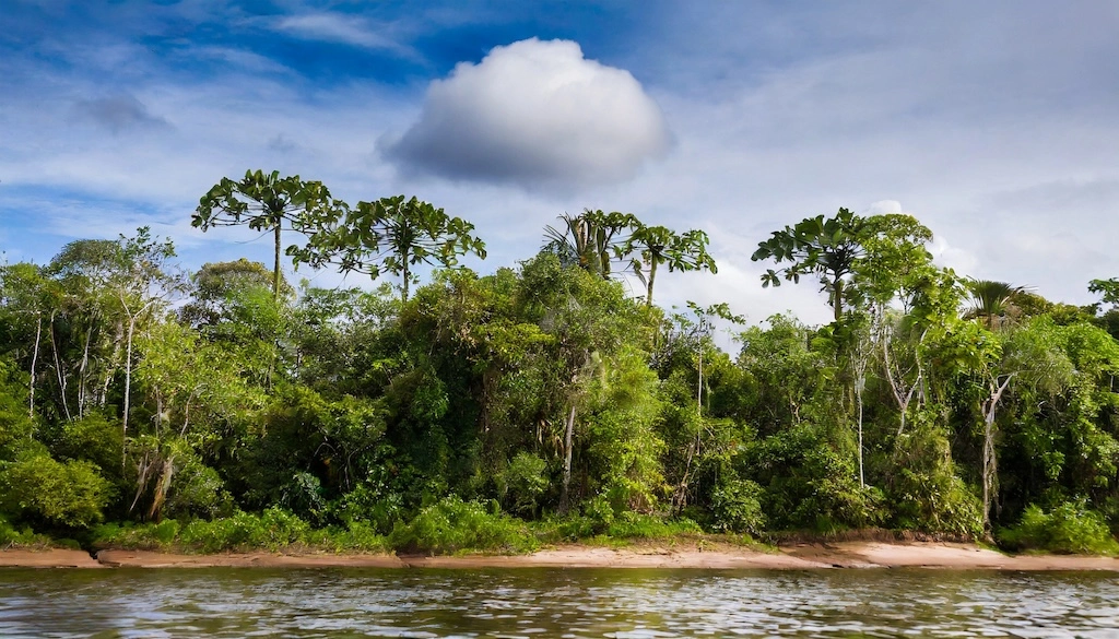 An Amazon River luxury cruise blends raw rainforest adventure with boutique-hotel comfort. Here’s how to choose your route, ship and season wisely.