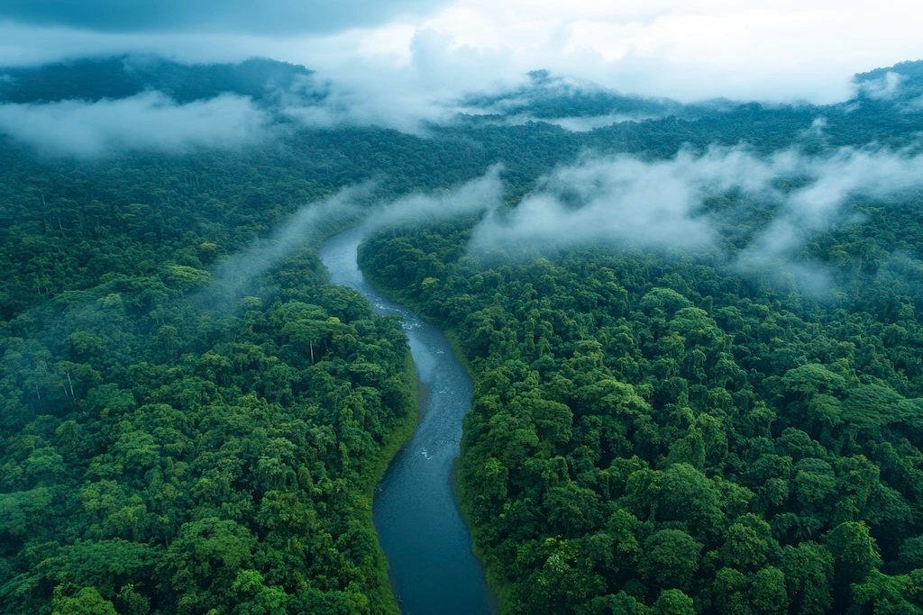 An Amazon River luxury cruise blends raw rainforest adventure with boutique-hotel comfort. Here’s how to choose your route, ship and season wisely.