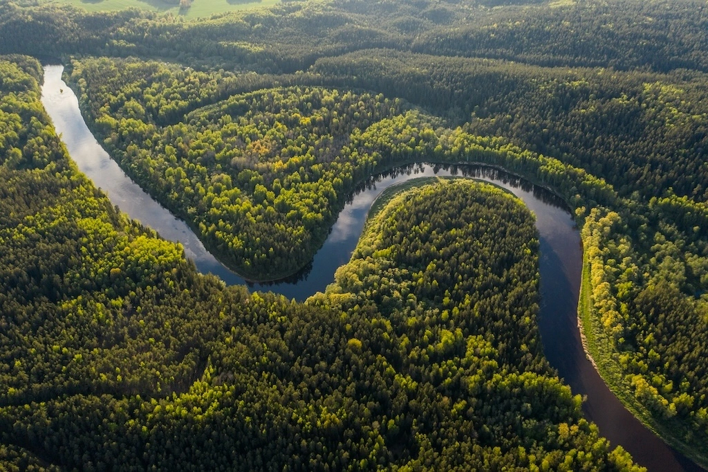 An Amazon River luxury cruise blends raw rainforest adventure with boutique-hotel comfort. Here’s how to choose your route, ship and season wisely.
